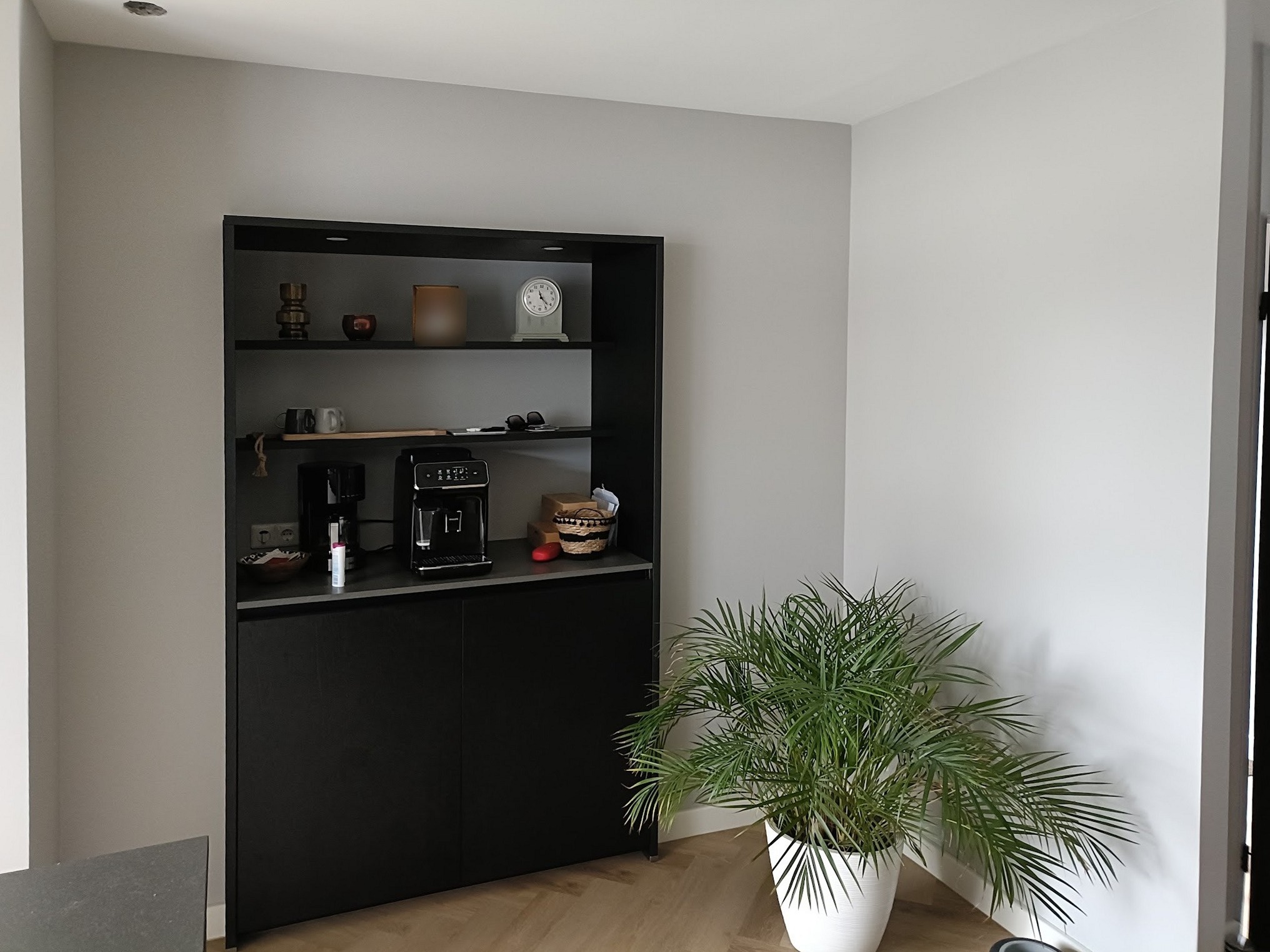 Strak gestucte grijze wand met een zwarte inbouwkast en een palm